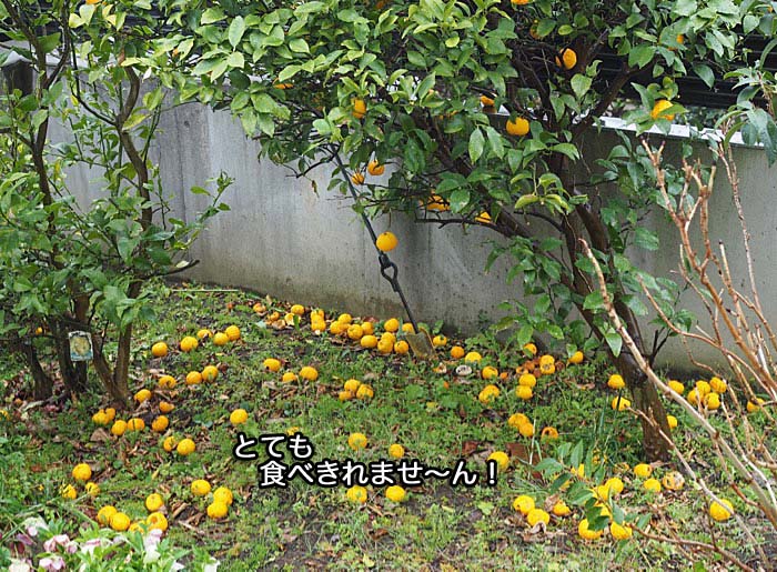 10日ブログ３