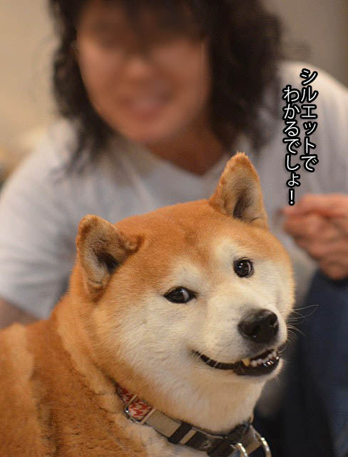 23日ブログ3