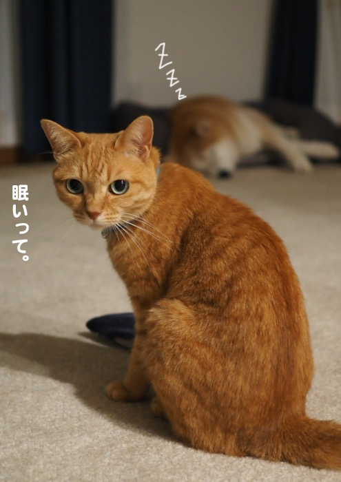 28日ブログ１