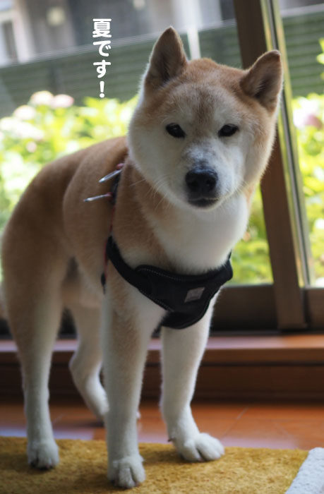15日ブログ２