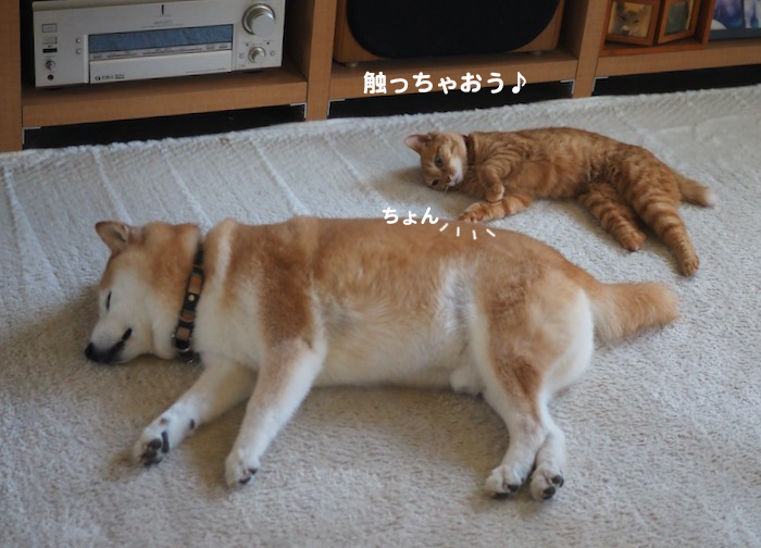 10日夕ブログ４