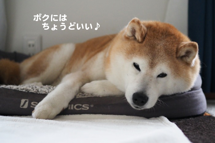 6日ブログ４