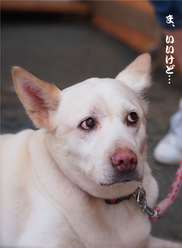26日ブログ4.jpg