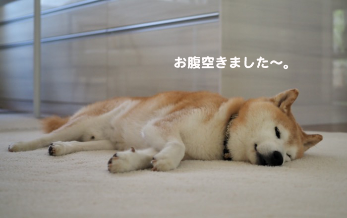 19日ブログ2