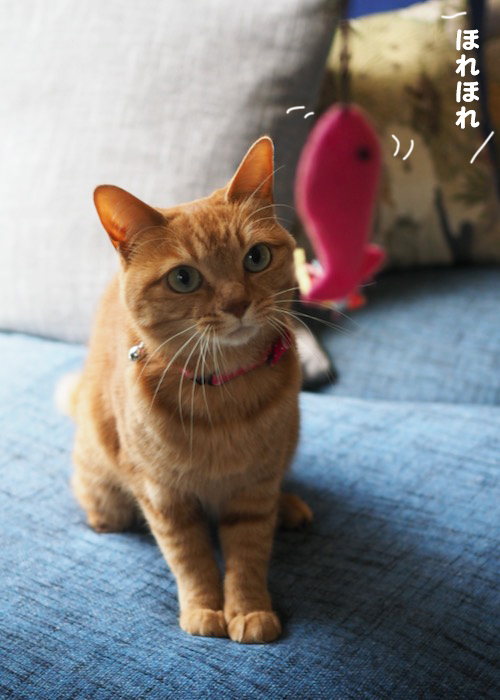 28日夕ブログ２