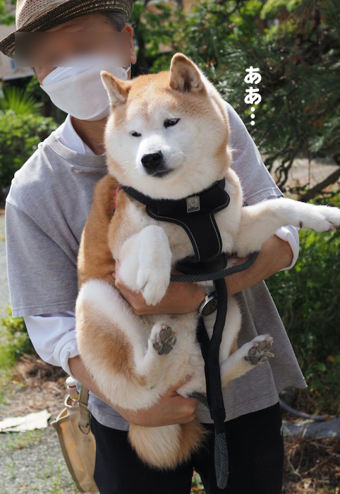 8日ブログ４