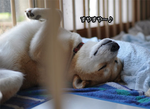 28日ブログ5.jpg
