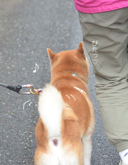 22日ブログ３
