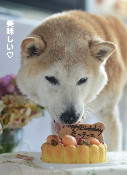21日ブログ３