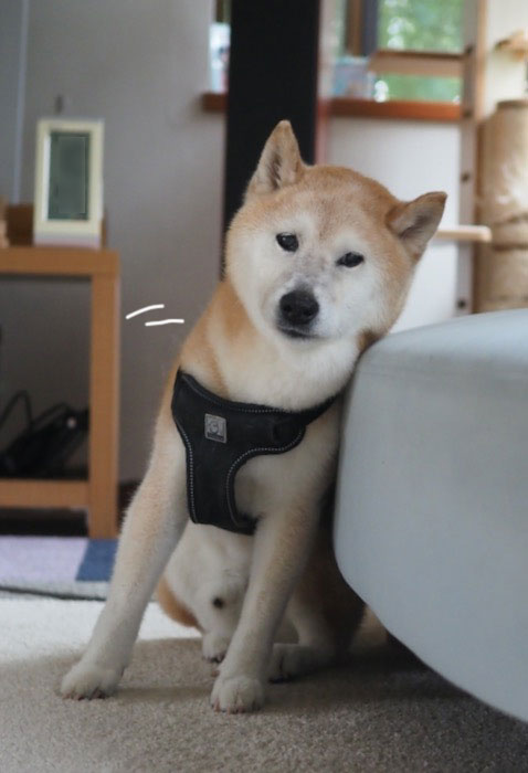 12日ブログ２