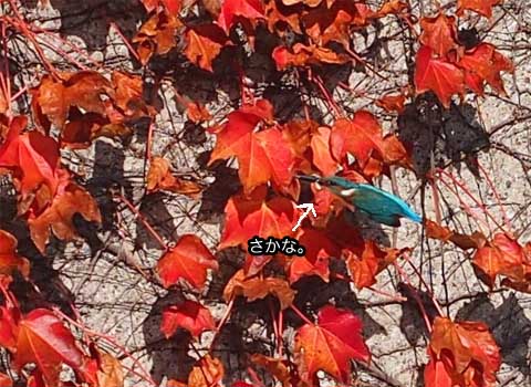 5日ブログ5.jpg