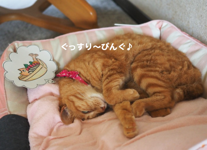 7日夕ブログ5