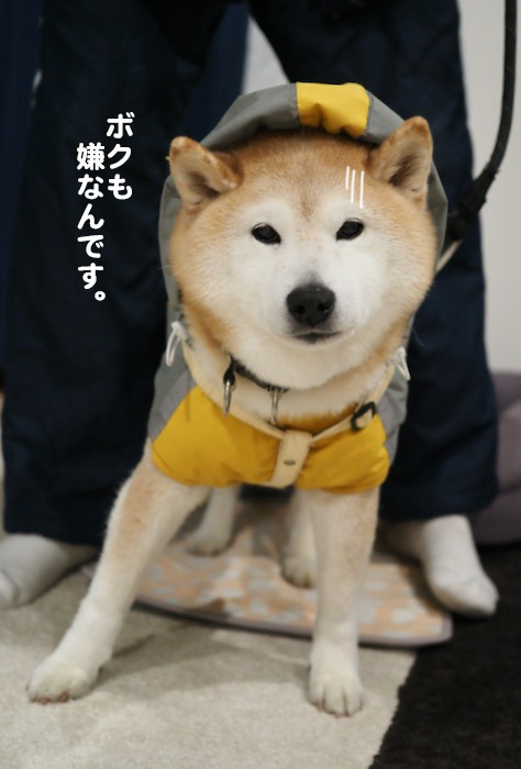 5日夜ブログ６