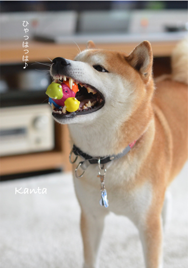 22日ブログ8.jpg