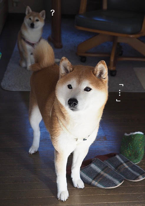 30日ブログ６