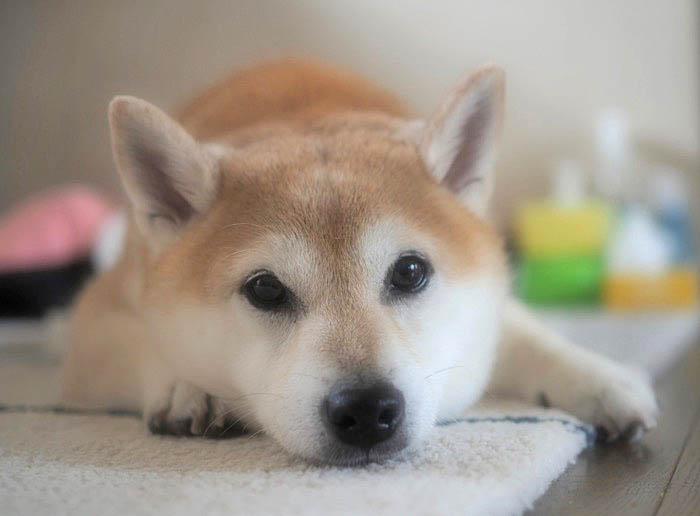 8日ブログ２