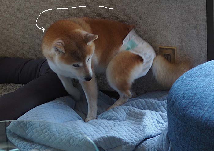 21日午前ブログ2