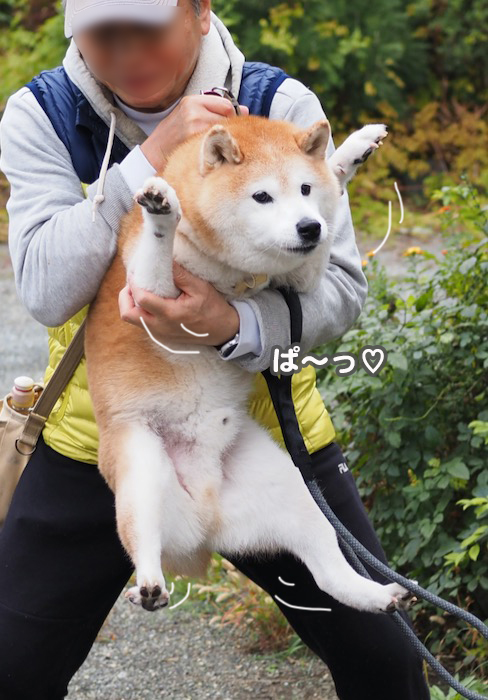 13日夕ブログ５
