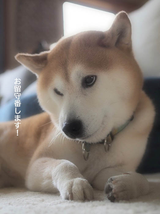 20日夕ブログ５