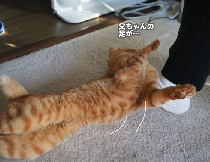 16日ブログ３
