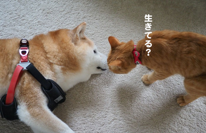 24日夕ブログ５