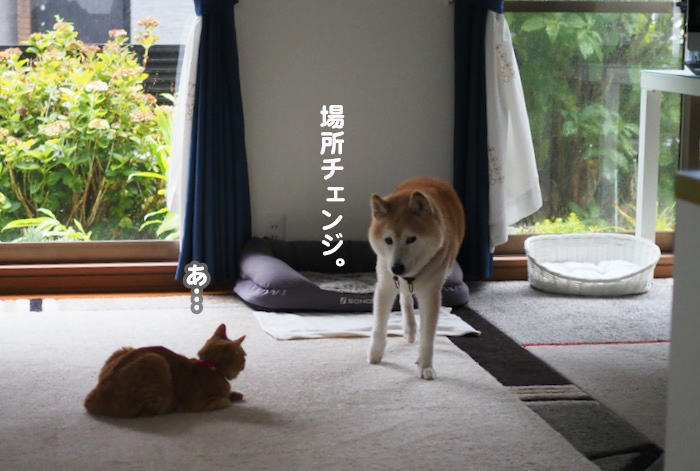 11日ブログ３