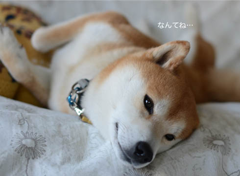 1日ブログ6.jpg