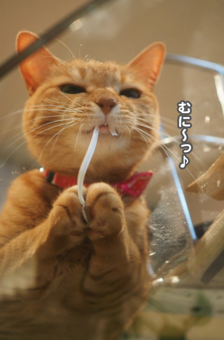 9日夕ブログ５