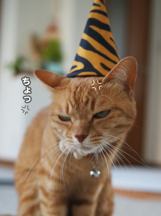 2日ブログ６
