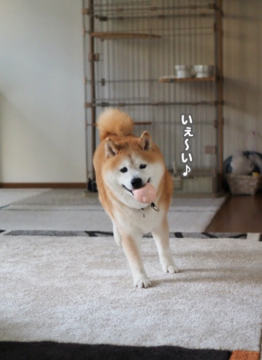 29日夕ブログ６