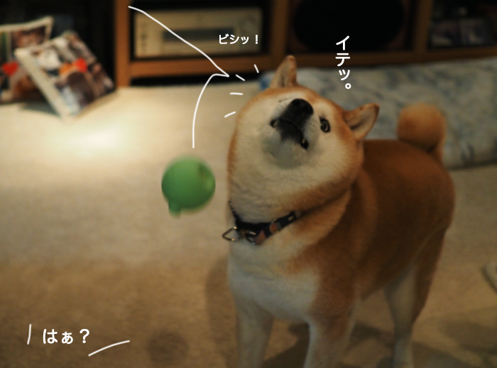 9日ブログ５