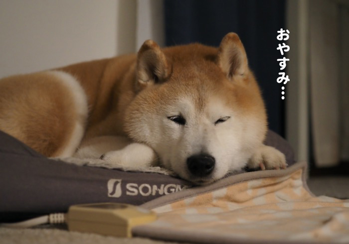 12日午前ブログ２