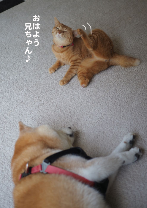 10日ブログ２