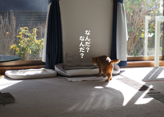 26日夕ブログ５