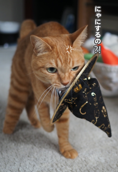 31日夕ブログ９