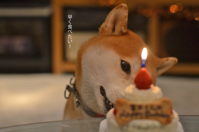 23日ブログ2