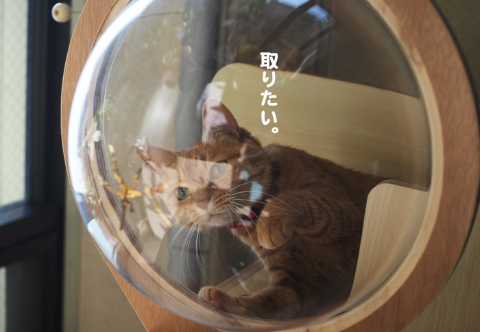 5日夕ブログ４