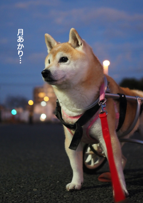 16日ブログ３