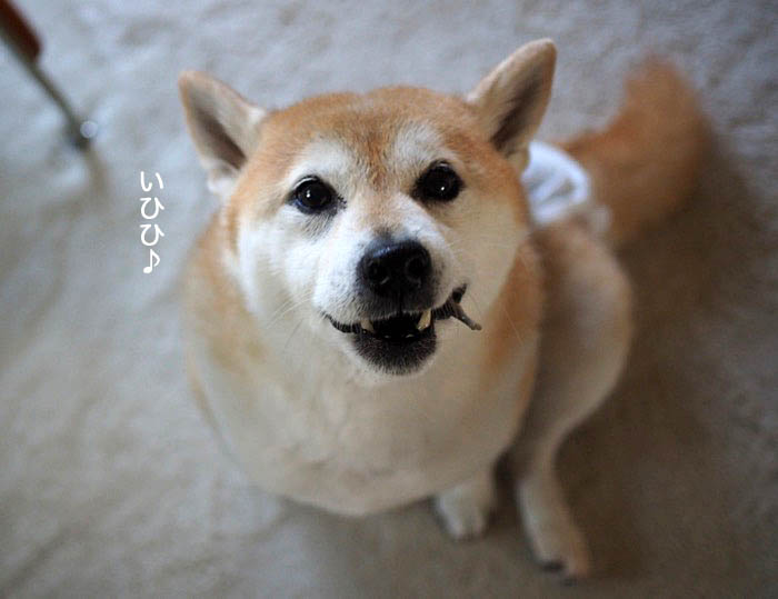 3日午後ブログ４