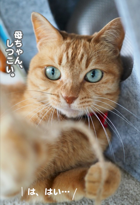 24日夕ブログ１１
