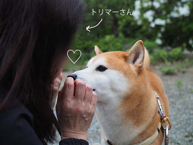 25日ブログ15