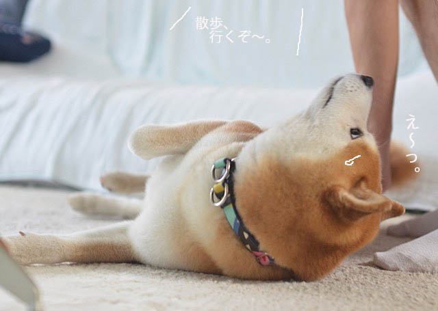 28日ブログ3