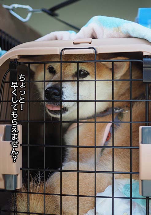 27日ブログ８