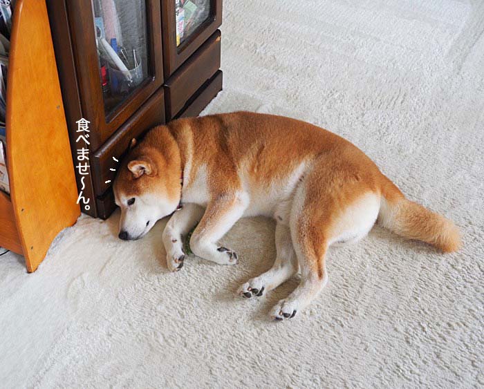 13日ブログ９