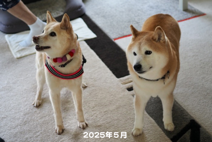 9日ブログ６