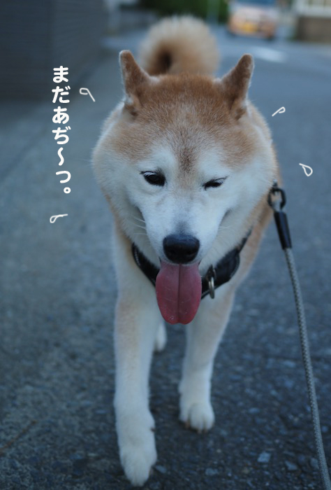 20日夕ブログ５