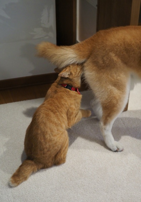 23日夕ブログ２