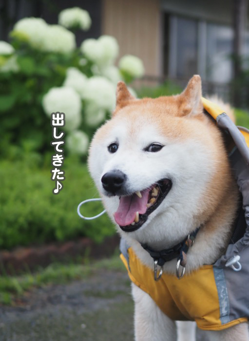 12日夕ブログ6