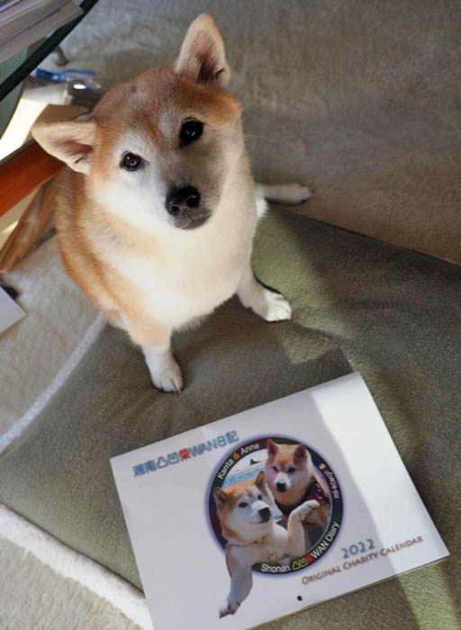 9日ブログ２