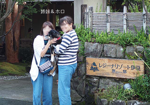 19日ブログ2